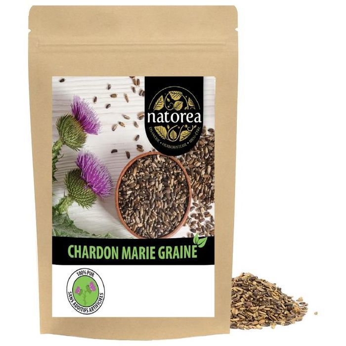Graines de Chardon Marie, la plante du foie 250 GR