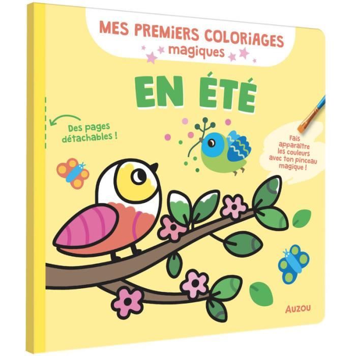 Livre pour été Auzou