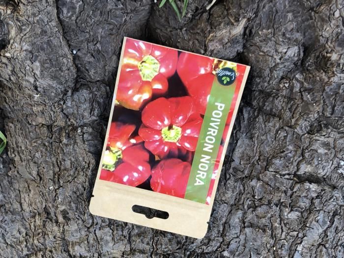 SACHET DE GRAINES POIVRON NORA