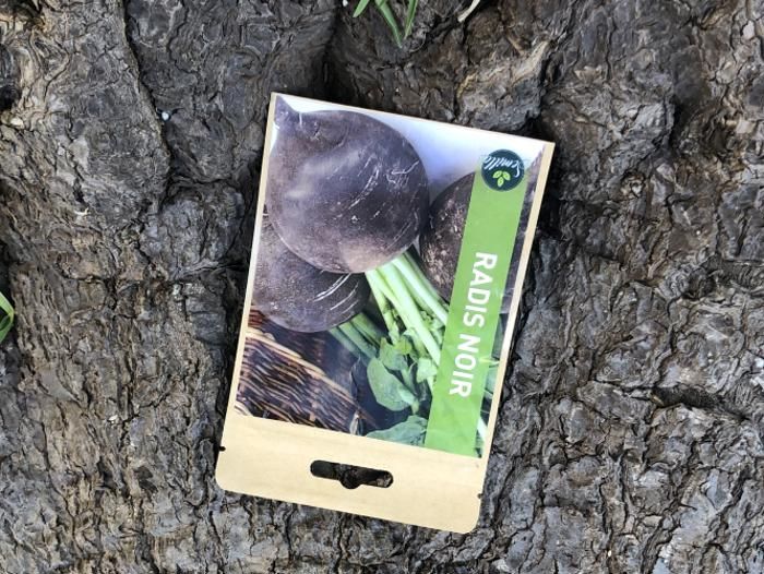 SACHET DE GRAINES RADIS NOIR