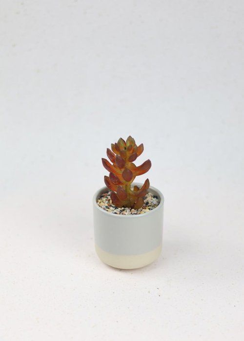 Plante artificielle - SISTERS FLOWERS - Mini plante en pot - 15 cm - Décoration intérieure - Facile d'entretien