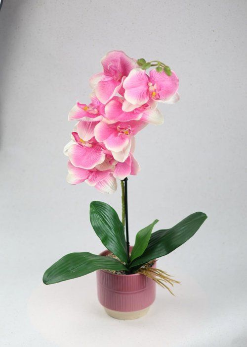 Plante artificielle - SISTERS FLOWERS - Orchidée en pot - Hauteur 65 cm - Entretien facile - Design contemporain