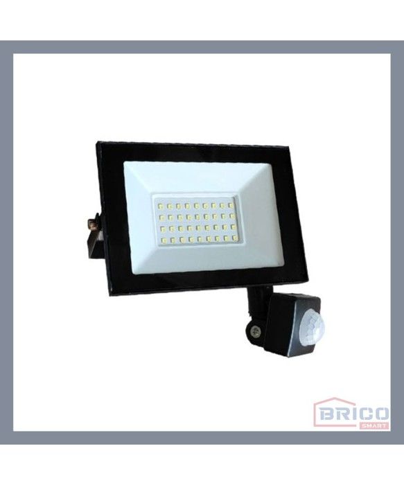 PROJECTEUR LED COLORADO AVEC DETECTEUR 20W 3000K
