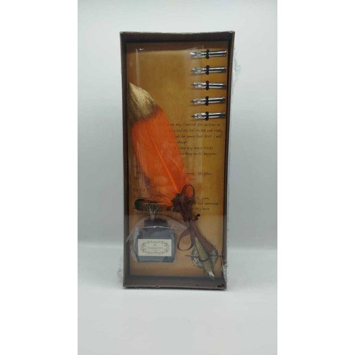 Set d’écriture vintage avec plume, encrier et pointes interchangeables