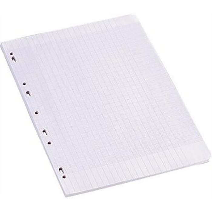 FEUILLES DOUBLE BLANCHE 80 PAGES 21X29,7 10X10