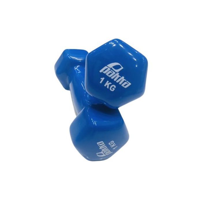 Haltère pair de fitness gym à domicile 1 kg musculation aerobics