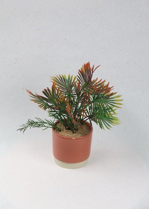 Plante - SISTERS FLOWERS - Mini Palmier - Hauteur 25 cm - Vert - Plante artificielle