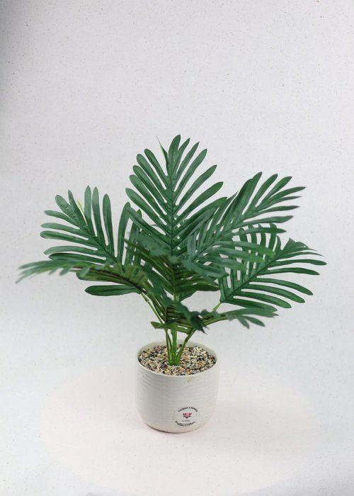 Plante artificielle - SISTERS FLOWERS - Palmier en pot - Hauteur 45cm - Vert - Entretien facile