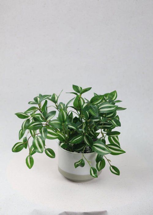 Plante artificielle - SISTERS FLOWERS - Décoration intérieure - 25 cm - Contemporain - Vert