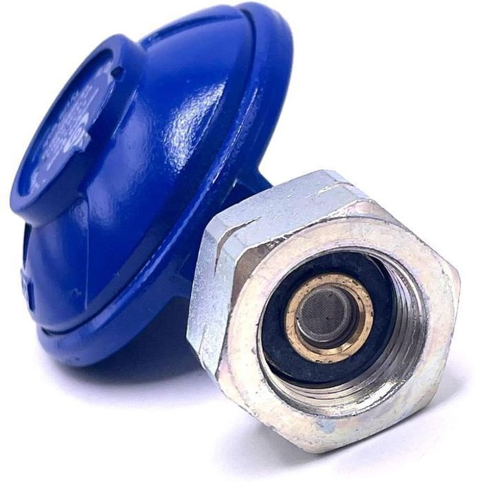 Régulateur de gaz ajustable bm 2 pour une pression de gaz sécurisée. (couleur aléatoire)