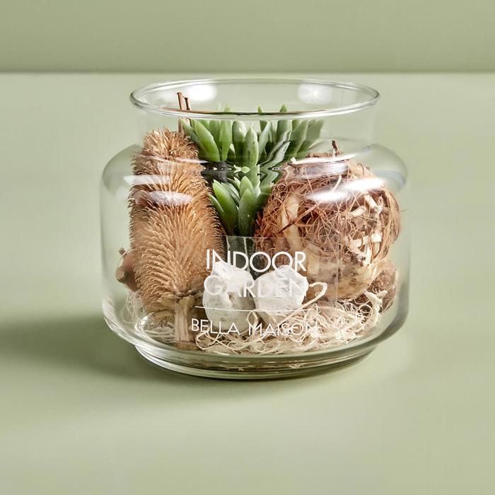 Grande Composition Succulente Verte (16x13,5 cm)
