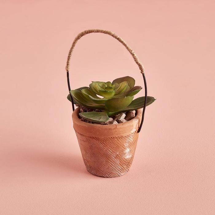 Petit Pot Terrarium avec Anse Naturel (8x16 cm)