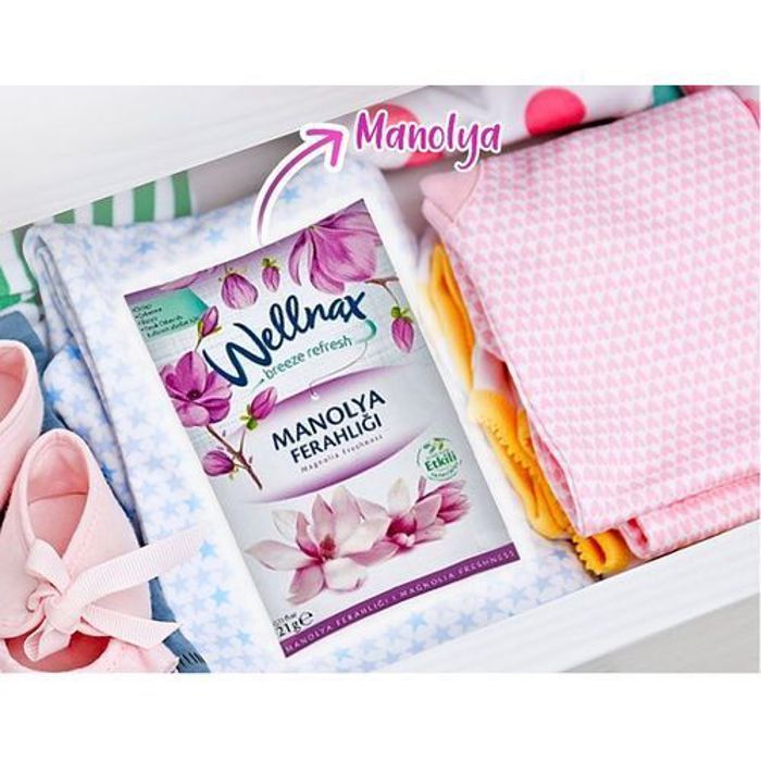 WELLNAX Pack De 2 Pcs Désodorisant Magnolia Frais Pour Armoire