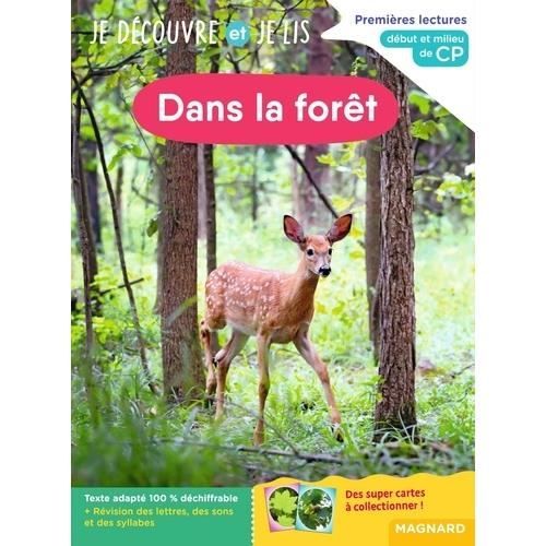 Livre - Dans la forêt - Début et milieu de CP - Lecture - Éducation - Enfant