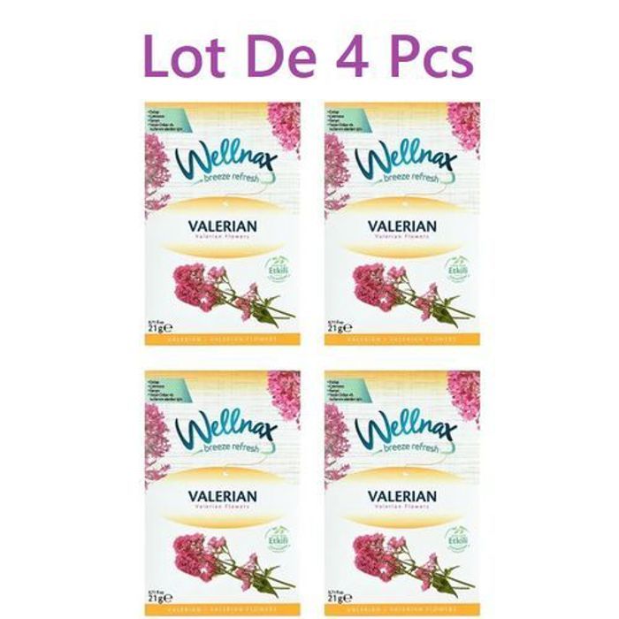 WELLNAX Pochette Désodorisant Valériane Pour Armoire et Tiroir (4pcs)