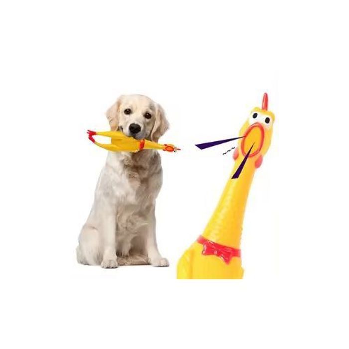 Lot De 4Pcs Jouet de Poulet Couinant Très Amusant Pour Enfant et Adulte
