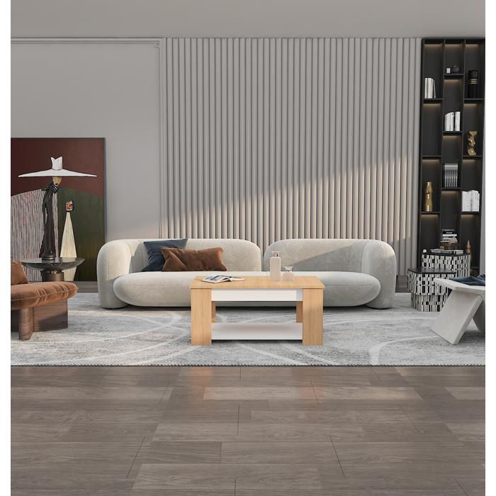 TABLE BASSE EN STRATIDÉCOR 19 MM 90X60X42 CM TB07