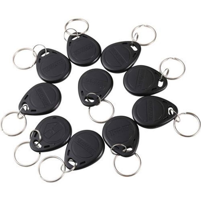 Lot de 10 Pcs Rfid Porte-clés Lire et Réécrire 125KHz EM4305