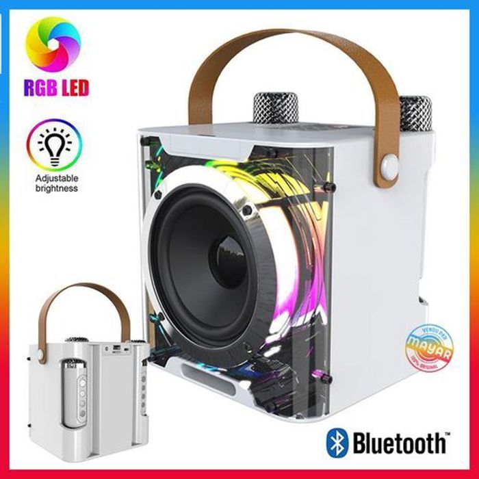 Haut-parleur Blutoorh Karaoké Portable avec 2 Microphones Sans Fil, son amplifié,