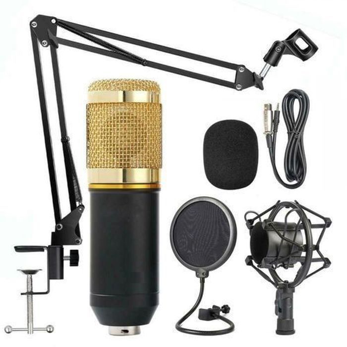 BM-800 Professional Broadcasting -Studio Recording Condenser Microphone Mic Kit
