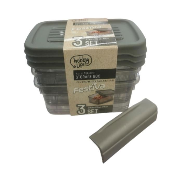 LOT DE 3 BOÎTES DE RANGEMENT RECTANGULAIRE FESTIVA 3X275 ML