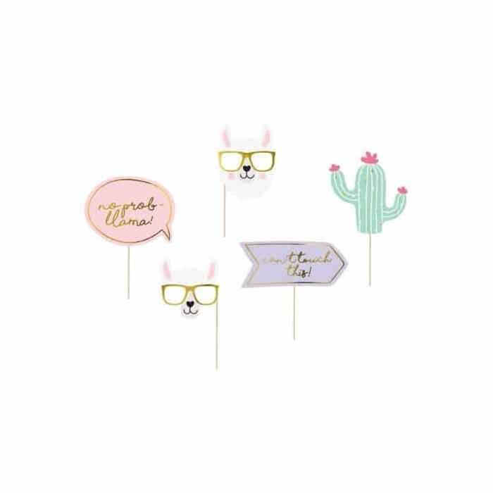 Accessoires photos lama cactus