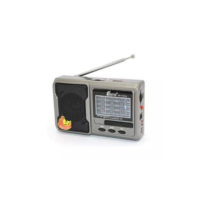 Epe Radio portable 8 BAND Avec USB/TF CARD Music Player