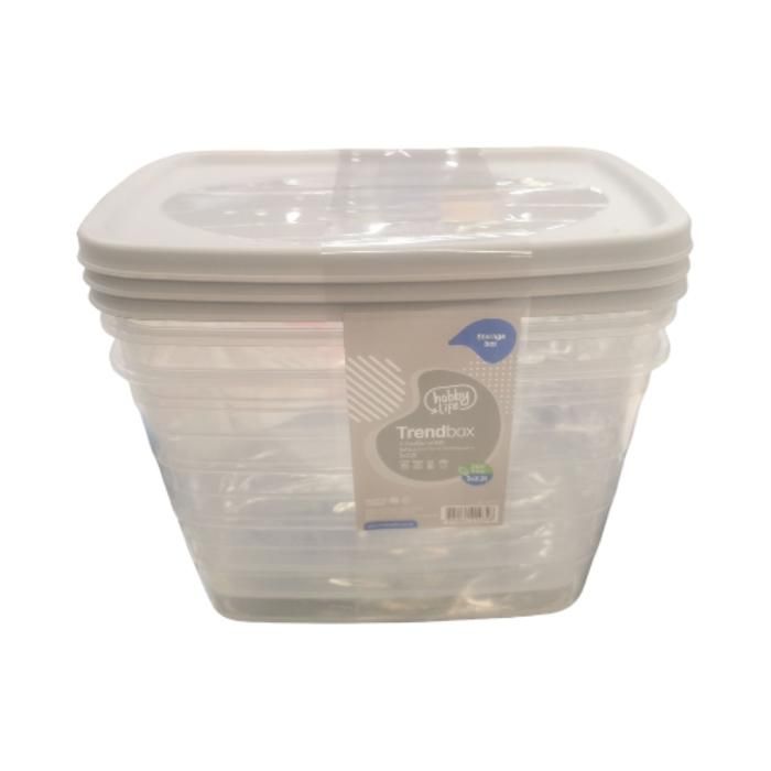 LOT 3 BOITE DE RANGEMENT 2,2 LT