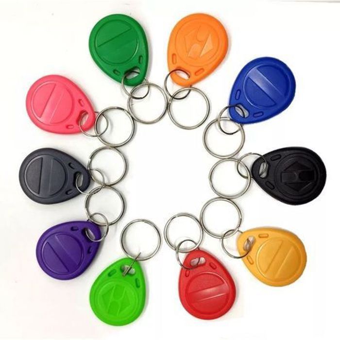 Pack de 10 Pièce Rfid Porte-clés 125KHz EM4305 Lire et Réécrire