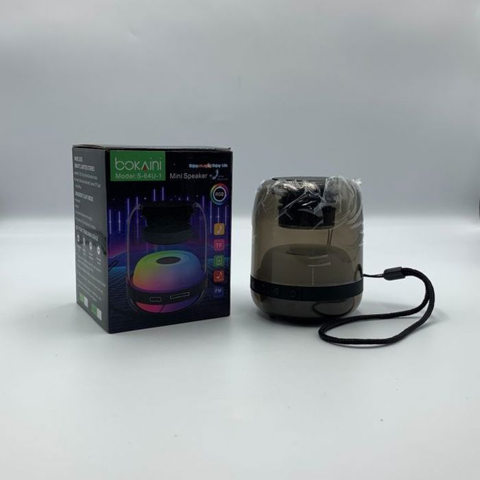 Bokaini Haut-parleurs Bluetooth portable avec son HD, éclairage RGB, Mini Speaker