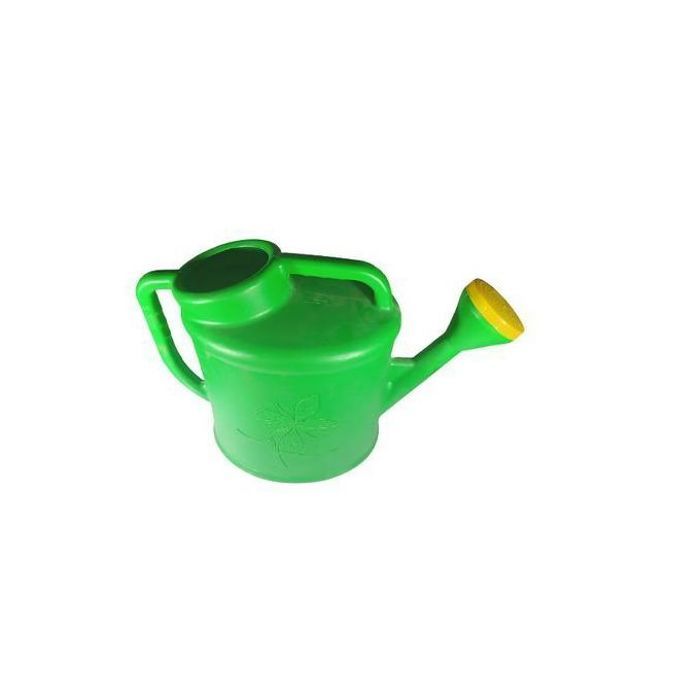 Arrosoir portable pour plantes et fleurs de jardin, bouilloire d'arrosage