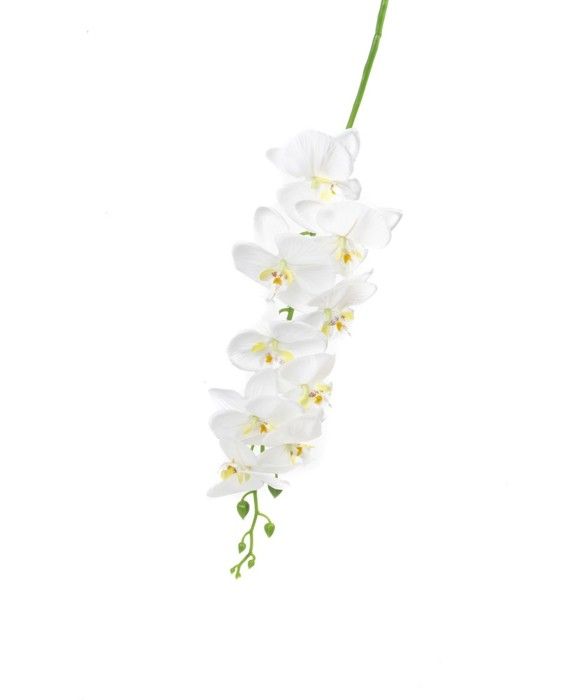 Orchidée blanche 1.50m *12pcs