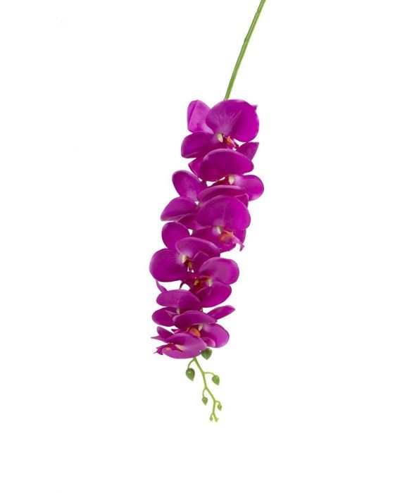 Orchidée fuschia 1.50m *12 PCS