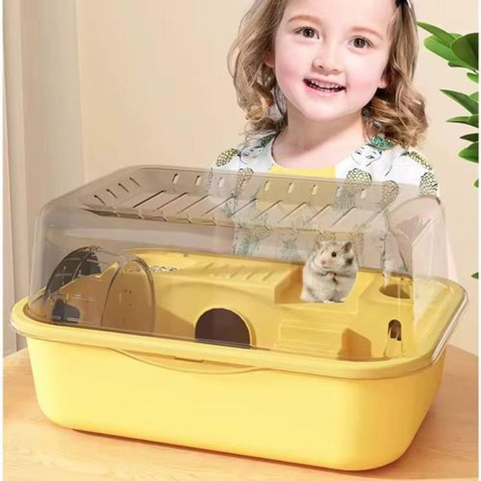 Pet Hamster transparent portable à double couche, maison pour petits animaux