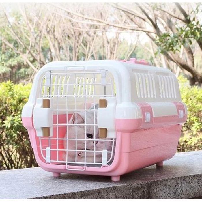 Pet Sac de transport pour chat et chien, idéal pour une utilisation en extérieur
