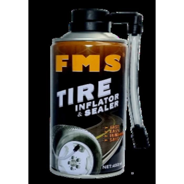 FMS                                   ANTI CREVAISON                AUTO 450 ML