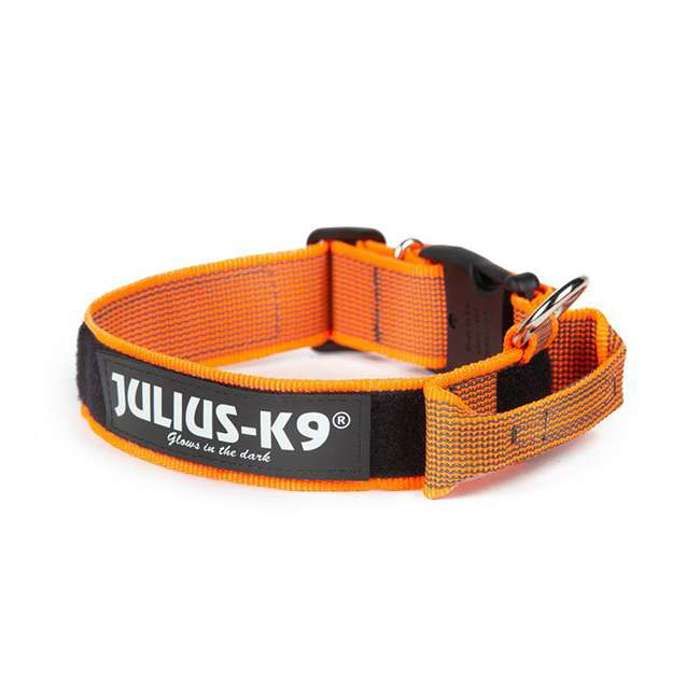 Collier - Color & Gray - Poigner - Orange - Polyester - Sécurisé pour chien