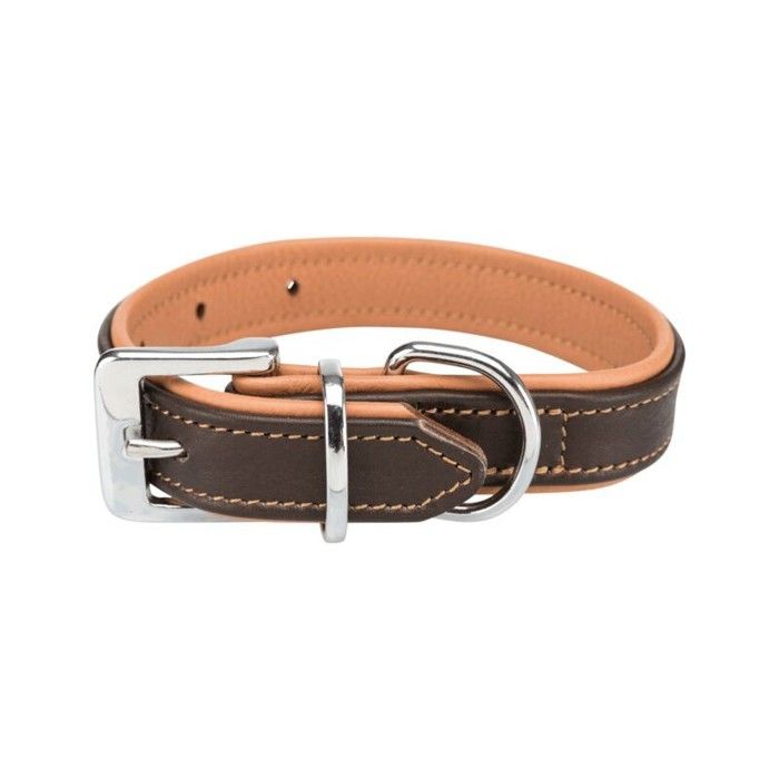 Collier - Collie - Active - Cuir véritable - 39-46cm - Utilisation extérieure