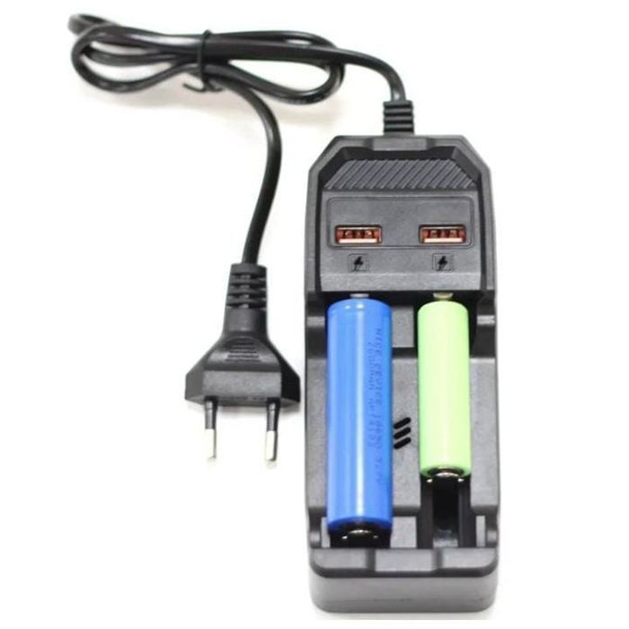 Chargeur de Batterie au Lithium à Double Charge - Deux Ports USB