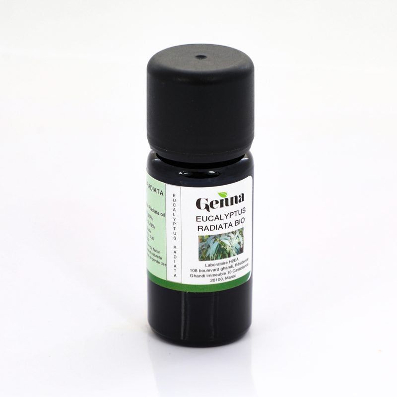 Huile essentielle d'Eucalyptus radiata BIO - 10 ml