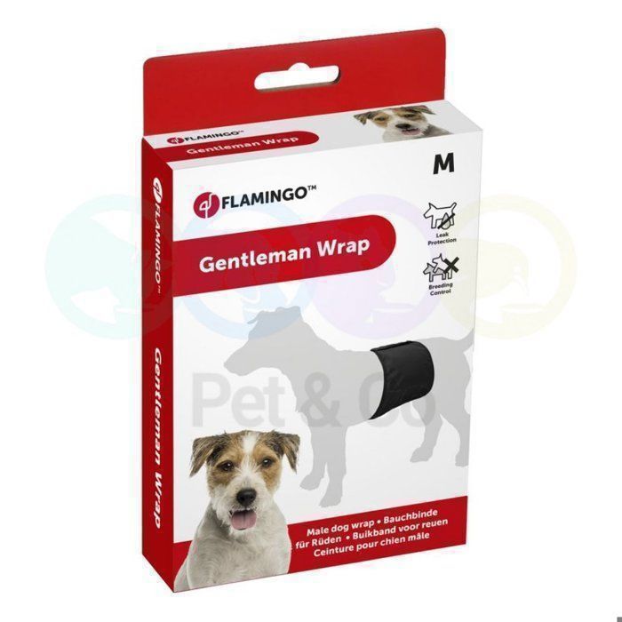 Wrap pour animal - GENTLEMAN - BLACK - 41x12CM - Nylon - Lavable à 30°C
