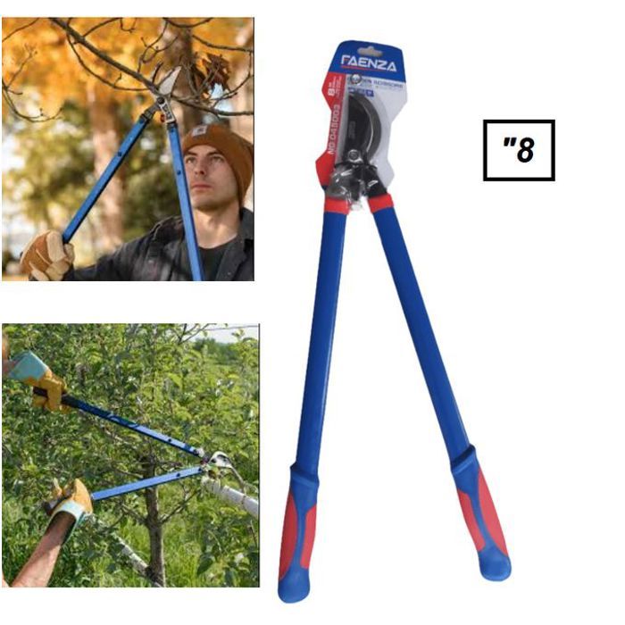 Coupe branche robuste, cisaille de jardin professionnel