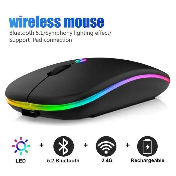 Souris sans fil double Mode de connexion Bluetooth et 2.4G silencieux DPI réglable 600mAh Rechargeable RGB lumineuse Noir