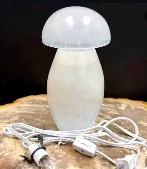 Lampe - Selenite - Champignon - 25 cm - Blanc - Bois - Électrique