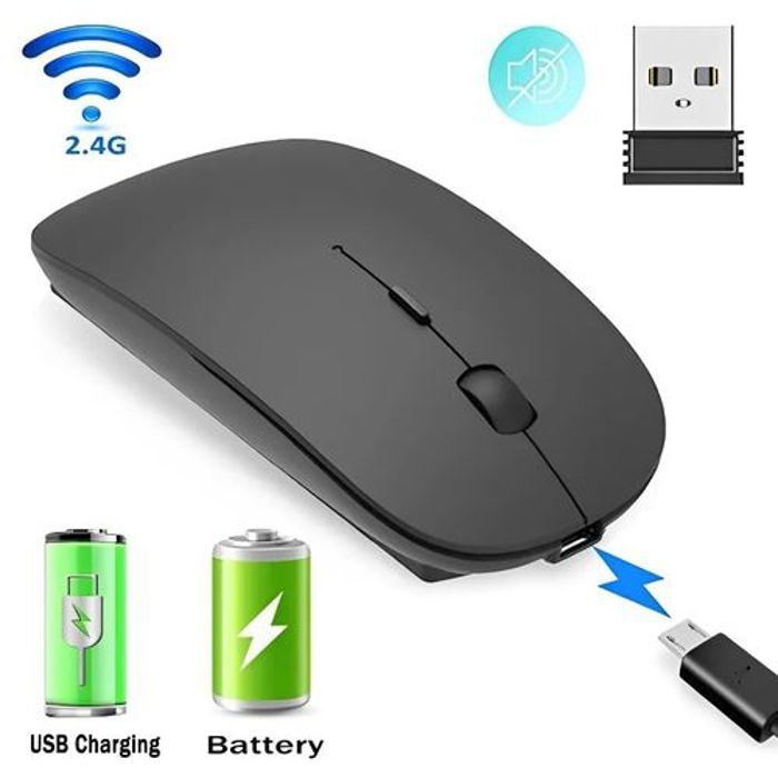 Souris sans fil - Non spécifié - Rechargeable - Ergonomique - Silencieuse - Compatible Bluetooth et USB 2,4 GHz