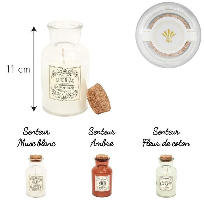 BOUGIE PARFUMEE MAISON TRADITION H11CM M24