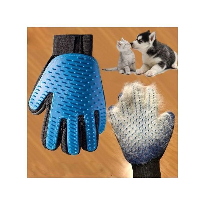 Gants de brossage pour animaux - bleu