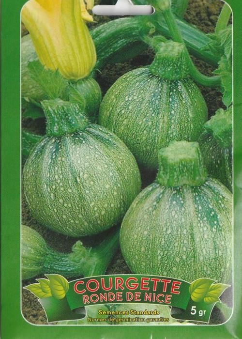 grains de legume courgette de nice