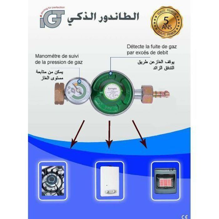 Détendeur de basse pression - MARQUE - Modèle - Système de sécurité - Manomètre - Usage domestique