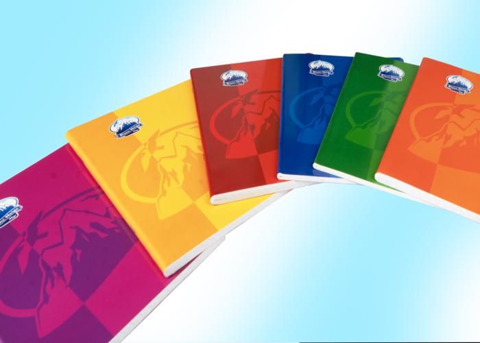 Cahier Piqué - 96PAGES